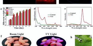 Have you seen fluorescent fiber (the best way to produce fluorescent silk)