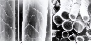 How to imitate chemical fiber wool (what are the performance requirements of wool-like chemical fiber)