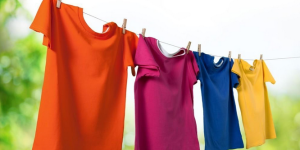 What to do if the T-shirt collar is deformed (it’s best to collect these 7 tips for caring for clothes first)