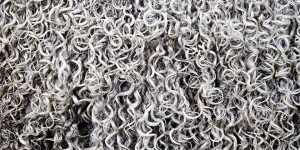 A brief discussion on several basic properties of textile fibers (what are the hygroscopic properties of fibers)