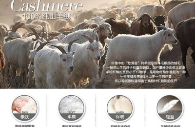 Why is cashmere so expensive (cashmere is one of the most popular fibers in the world)